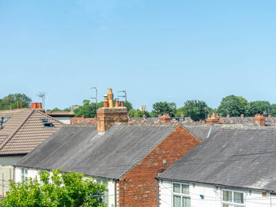 Picture 20